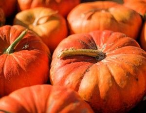 Pumpkin Health Benefits