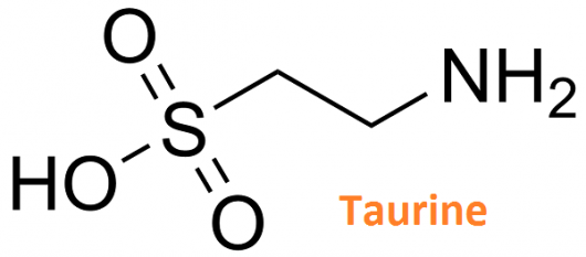 taurine meaning
