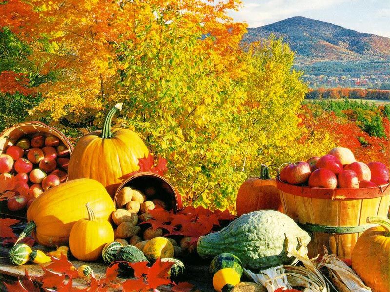 autumn fall food