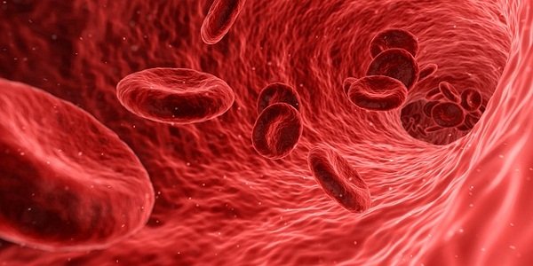 The four blood types respond to different foods in different ways.  