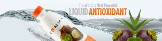 vemma banner