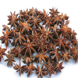 What Is Aniseed Or Anise - Be Well Buzz