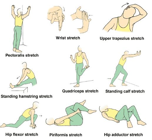 How to Stretch | Be Well Buzz