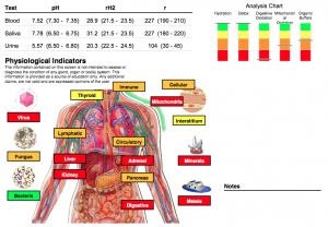 the-matrix-assessment-profile-300x208