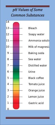 pH Balance and The Alkaline Diet: A Scientific Evaluation - Be Well Buzz