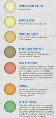 Warning Signals In Your Urine Color