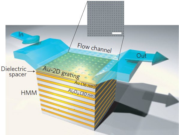 Schematic diagram of the gold-aluminum nanostructured metamaterial used in the new biosensor.  Credit: Kandammathe Valiyaveedu Sreekanth et al./Nature Materials