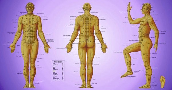 In Chinese Traditional medicine, energy flows through our 12 main meridians or energetic pathways.