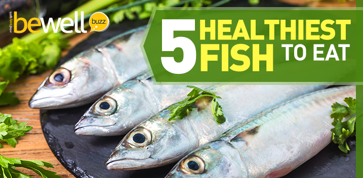 5 Healthiest Fish to Eat (And 3 You Must Avoid) | BeWellBuzz