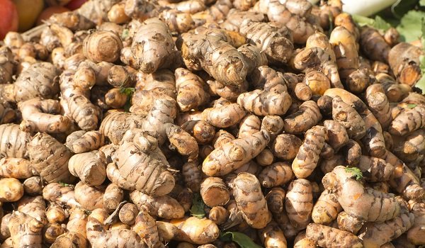 Studies surrounding the use of turmeric for IBS have shown some positive results.