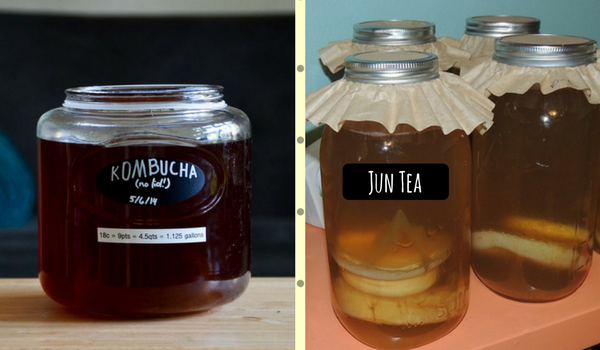 jun-tea-what-is-it-and-why-is-it-about-to-be-everywhere-bewellbuzz