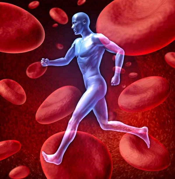Mismanaged blood flow could be the root cause of muscle pain and achiness and the sense of fatigue that fibromyalgia patients experience.