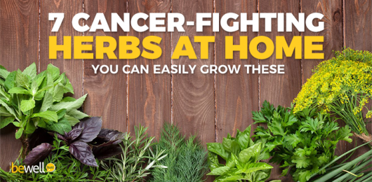 Why Growing Your Own Cancer-Healing Herbs is a Must | BeWellBuzz