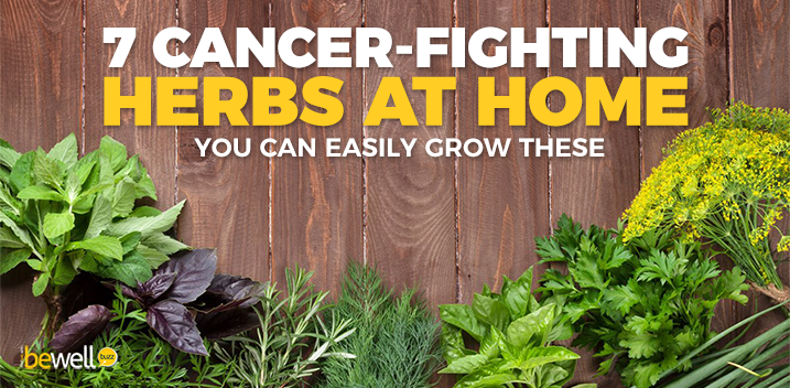 Why Growing Your Own Cancer Healing Herbs Is A Must Bewellbuzz