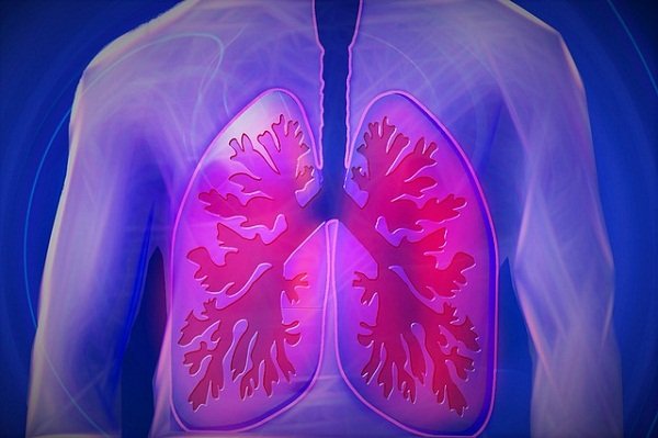 Your lungs work tirelessly, bringing in oxygen to power each and every one of your organs.