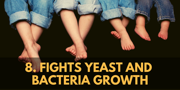 MCT oil Fights Yeast and Bacteria Growth
