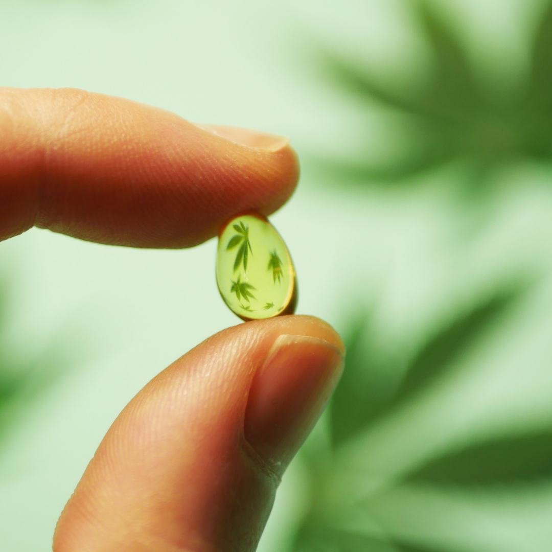 How To Choose A Quality CBD Product