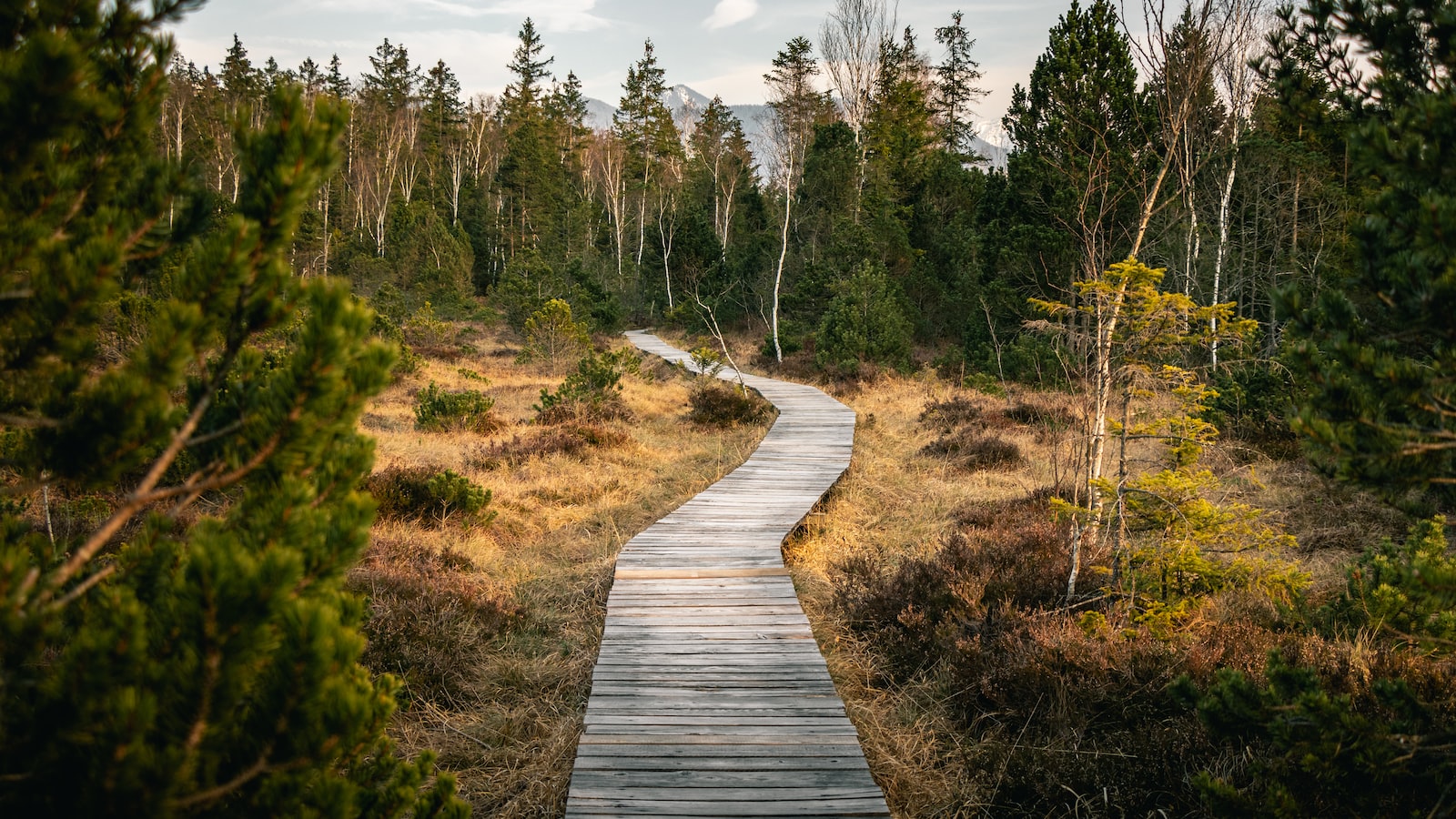 Integrating Mindfulness⁢ into Daily Life: Applying Present⁣ Moment Awareness