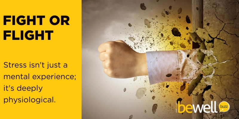 Fight or Flight: Stress isn't just a mental experience; it's deeply physiological.