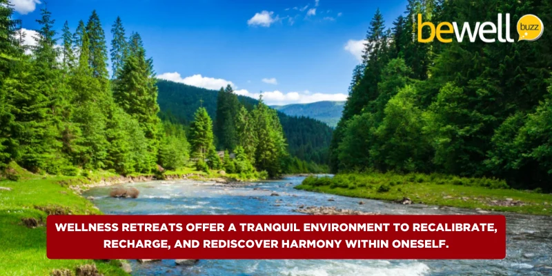 Wellness retreats offer a tranquil environment to recalibrate, recharge, and rediscover harmony within oneself.