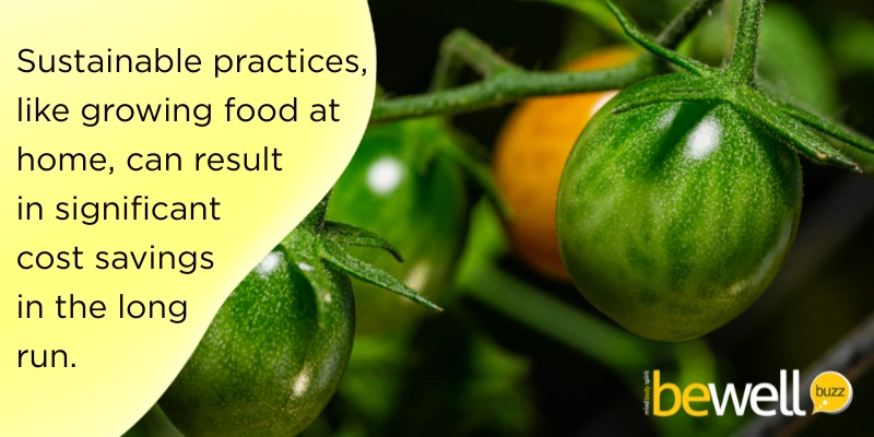 Sustainable practices, like growing food at home, can result in significant cost savings in the long run.