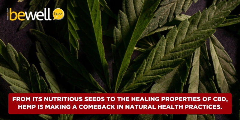 From its nutritious seeds to the healing properties of CBD, hemp is making a comeback in natural health practices.