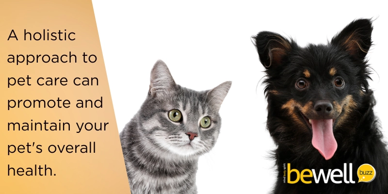 A holistic approach to pet care can promote and maintain‍ your pet's overall health.